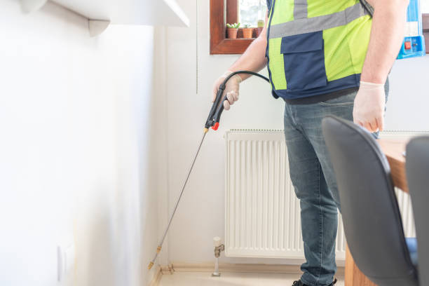 Best Wasp Removal Services  in Harbor Bluffs, FL