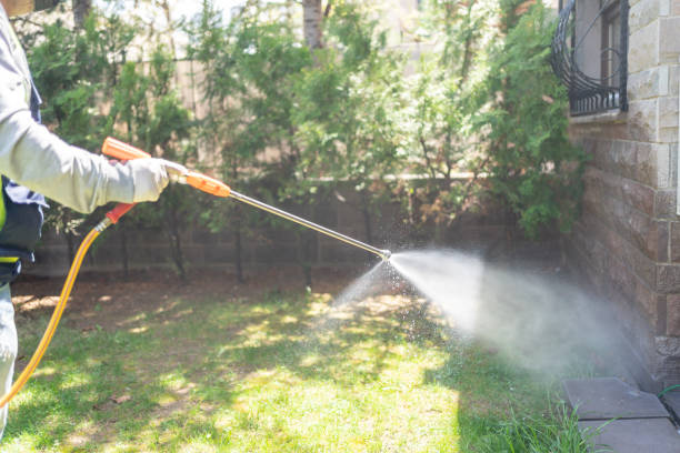 Best Pest Control for Businesses  in Harbor Bluffs, FL
