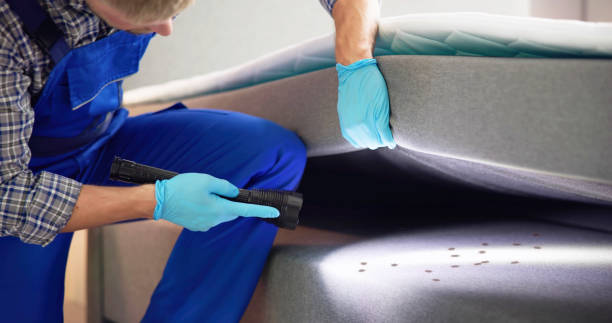 Best Best Pest Control Companies  in Harbor Bluffs, FL