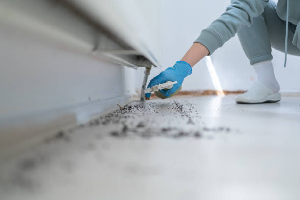 Best Pest Prevention Services  in Harbor Bluffs, FL